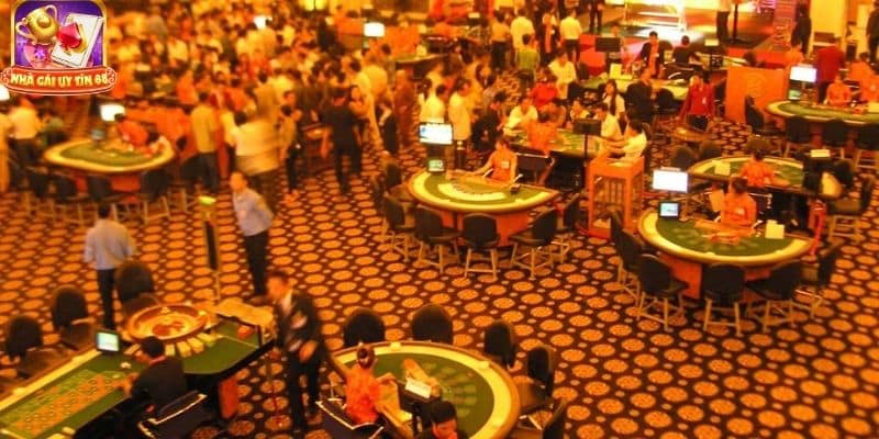 cách chia bài trong sòng casino