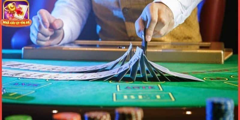 cách chia bài trong sòng casino