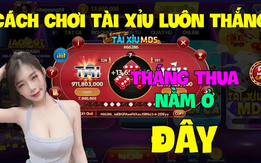 Cách chơi tài xỉu