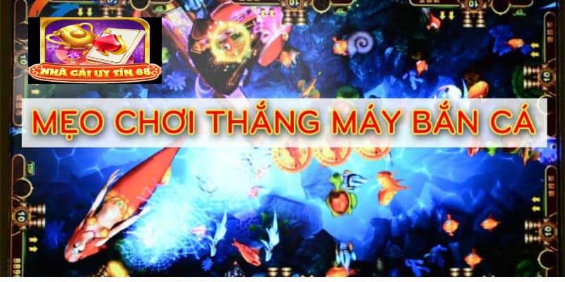 Đôi nét giới thiệu hack game bắn cá đẳng cấp