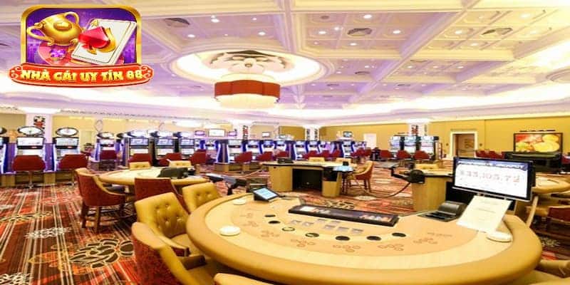 Những trải nghiệm thú vị mà bạn nên thử tại sòng bài Hồ Tràm
