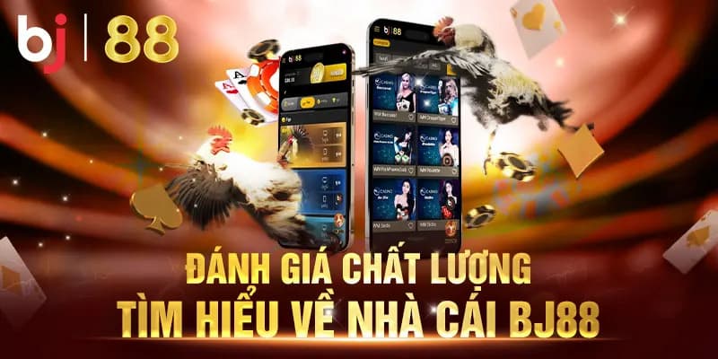 BJ88 - Điểm Đến Lý Tưởng Cho Mọi Cuộc Chơi Cá Cược 3 Đánh giá về sản phẩm game cá cược tại nền tảng